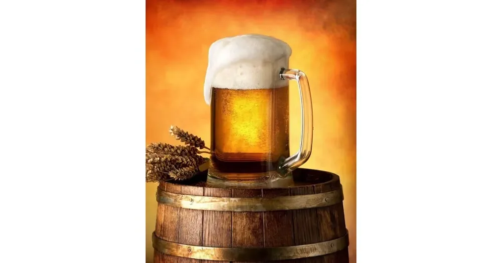 Dokud Zásoby Vydrží Deka mikroplyš 120 × 150 cm – Pivo