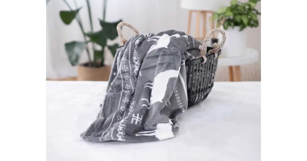Pouze Dnes Deka mikroplyš 150 × 200 cm – Sob grey