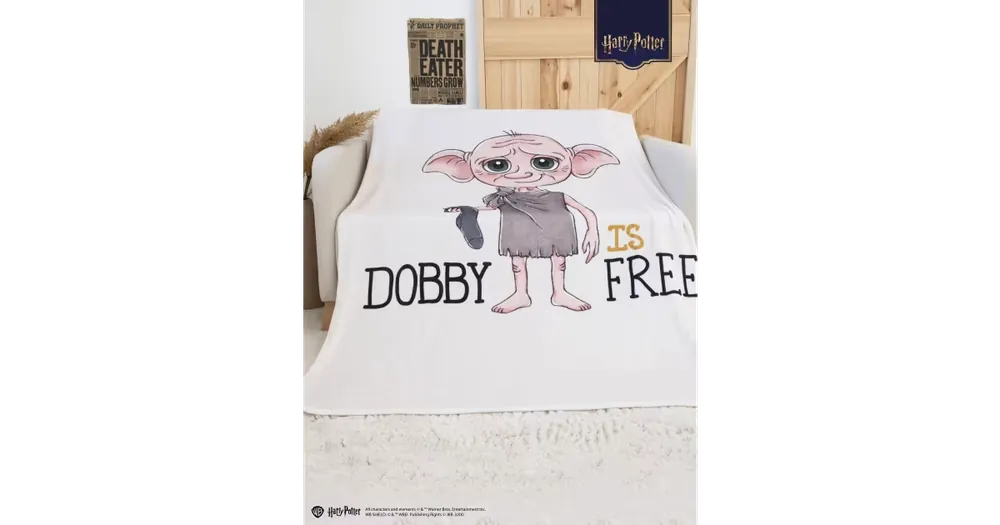 Sezónní Sleva Deka mikroplyš Harry Potter 150 × 200 cm - Dobby