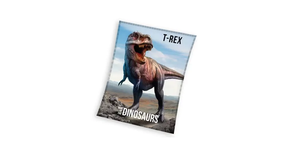 Dětská mikroplyšová deka 130 x 170 cm - T-Rex Speciální Cena