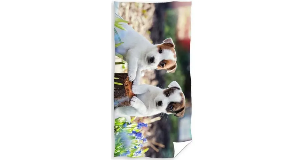 Objednat Nyní Dětská osuška 70 × 140 cm ‒ Bráškové Jack Russell Teriér
