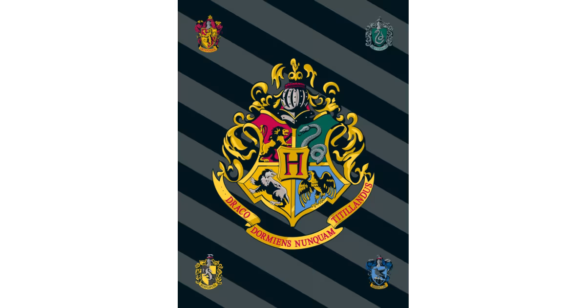 Akční Cena Fleecová deka 100 × 150 cm – Harry Potter HP067