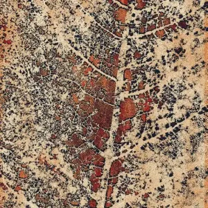 Autentický Koberec Agnella Isfahan Alnus měděný
