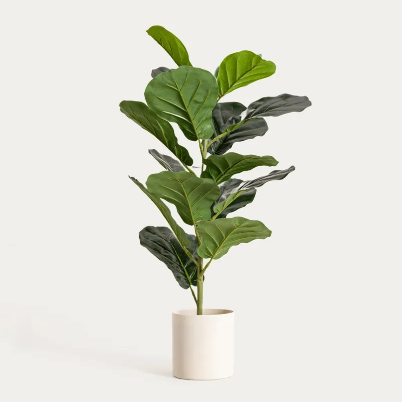 Umělý květ BOTANIC fíkus 764851 Zlevněný