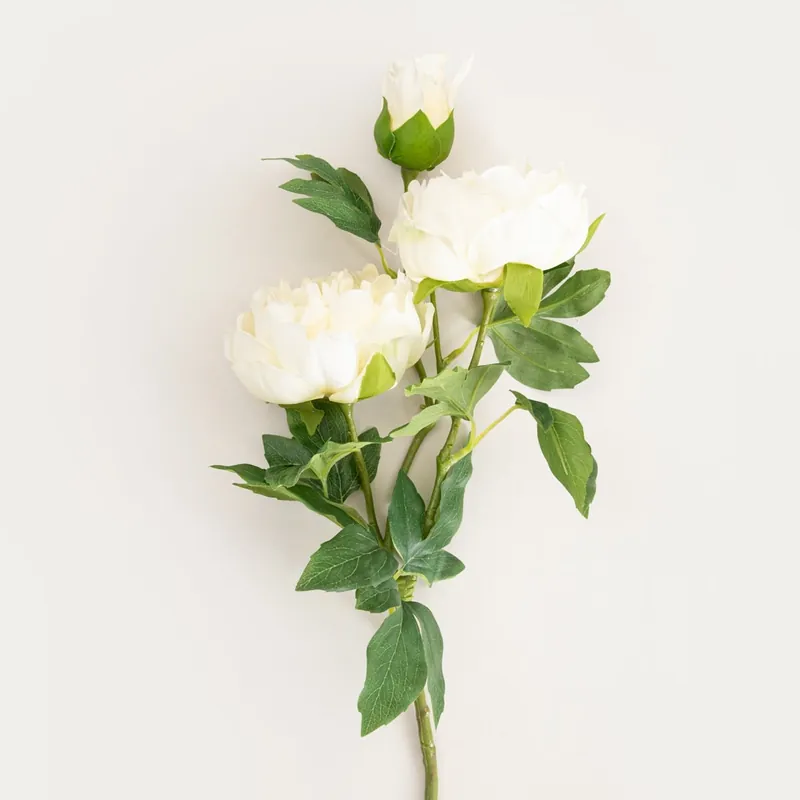 Umělý květ PAEONIA bílý 764899 Finální Výprodej
