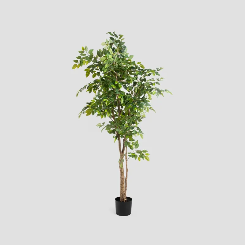 Expresní Doručení Umělá rostlina TROPICAL ZONE fikus 740633