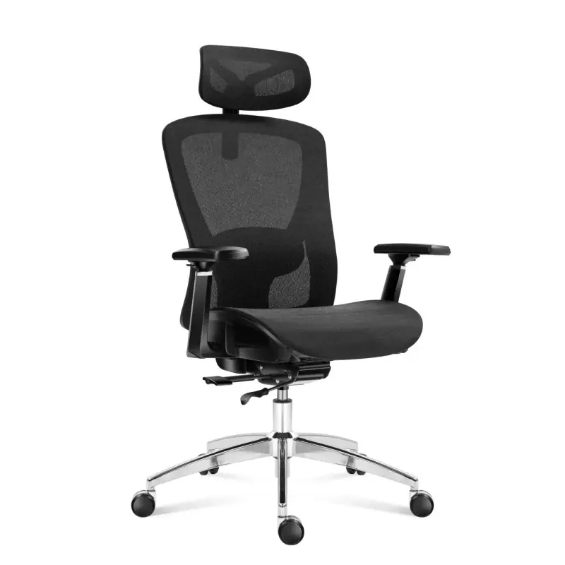 Akce Kancelářská židle Expert 5.3 Black Mesh