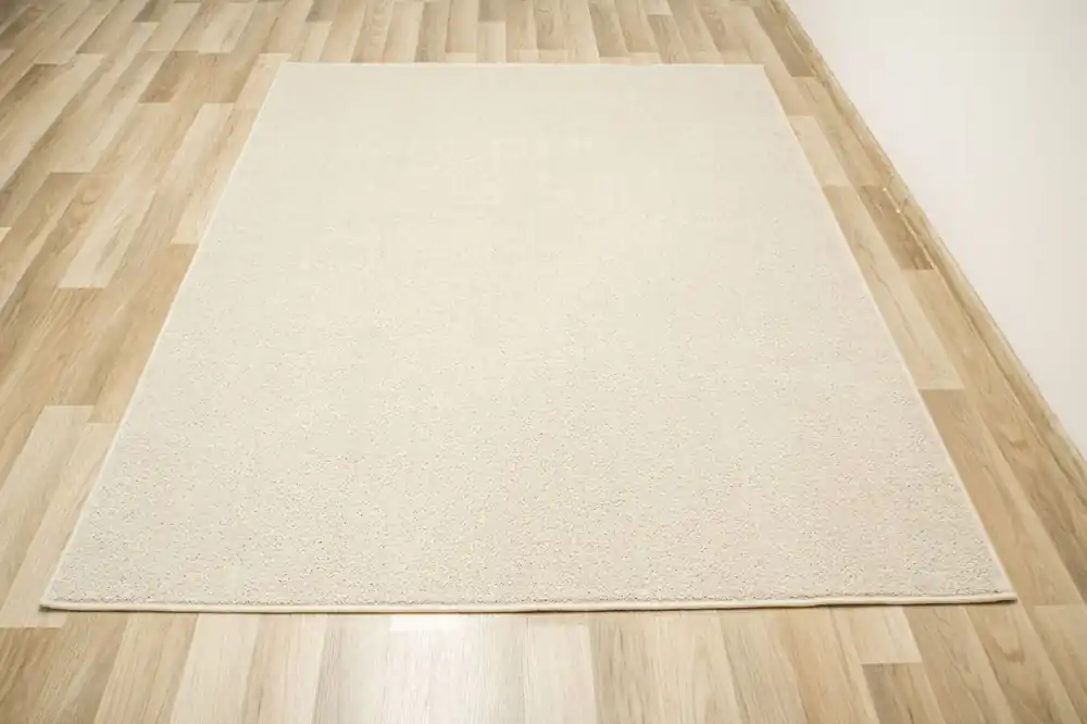 Koberec Birch 62 krémový / béžový Rychlé Dodání
