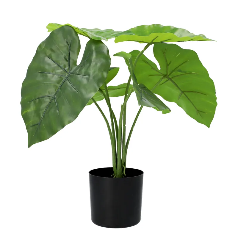 Umělá rostlina FILODENDRON zelená 50 cm Odeslání Ihned