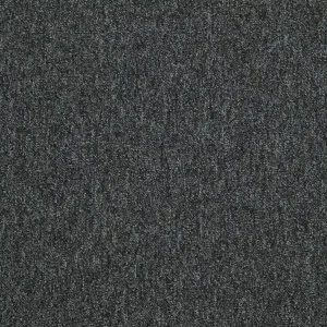 Kobercové čtverce Sonar 4478 černé 50x50 cm Sezónní Sleva