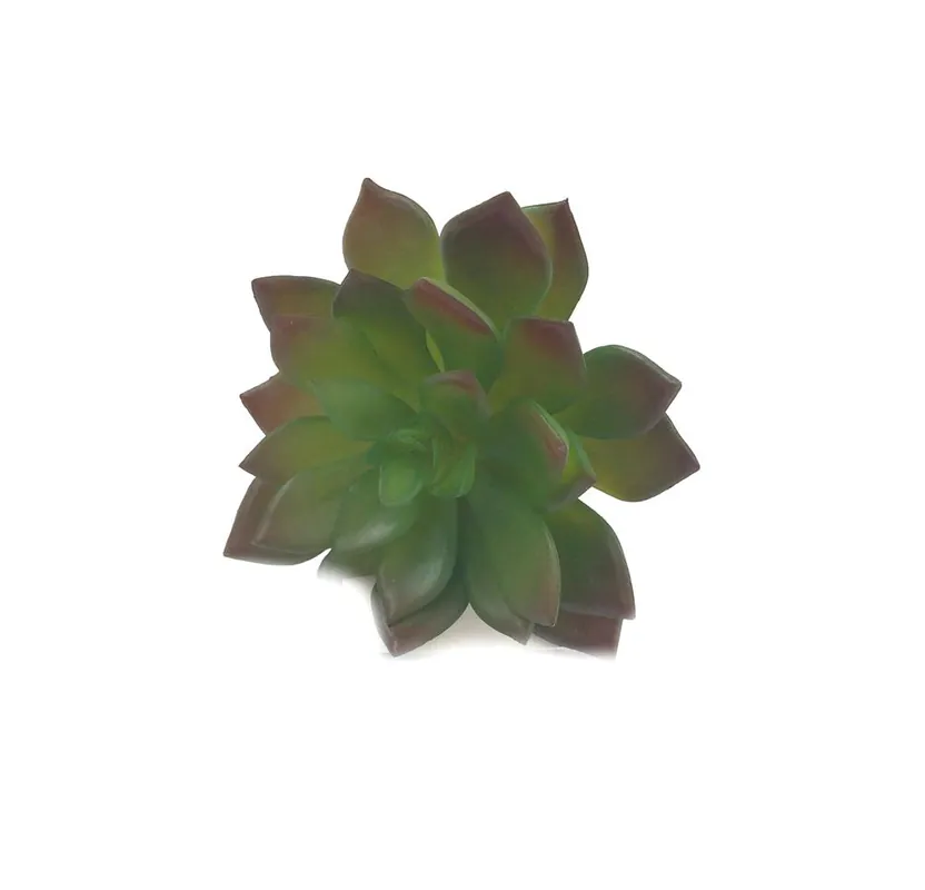 Odeslání Ihned Umělá květina sukulent Echeveria