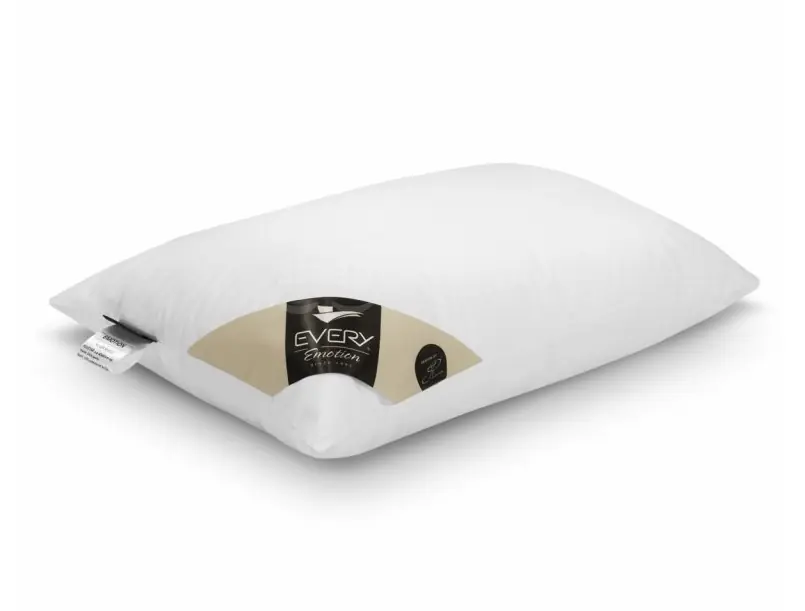 Časově Omezené Every polštář KLASIK Silver Shield 50 x 70cm