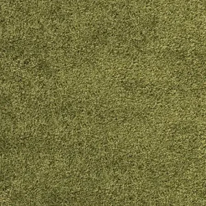 Kusový koberec Dream Shaggy 4000 green Oblíbený